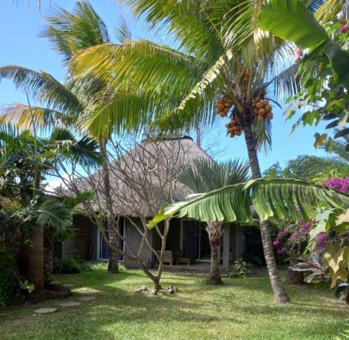 Brahmanhut - Eco Hut Experience In Harmony With Nature, Wellbeing And Spirit Bain Boeuf Dış mekan fotoğraf